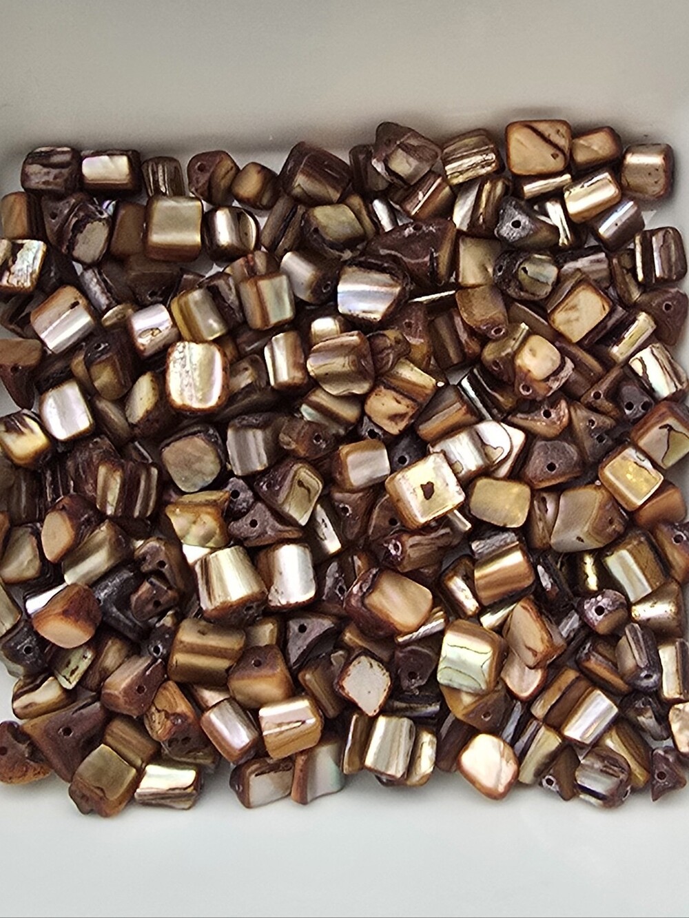 Crafters Lot Of Natural Brown Mother Of Pearl Center Drilled Shells